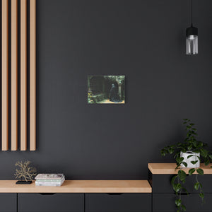 Mystical Canvas Wall Art, Enchanted Decor for Home, Dark Aesthetic Artwork, Gothic Wall Hanging, Unique Gift Idea