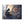 Mystical Canvas Art Print, Celestial Wall Décor, Magic Room Accent