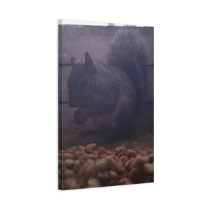 Squirrel Canvas Art matte wildlife wall décor with nuts and natural wood background for cozy living room accent
