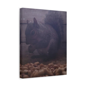 Squirrel Canvas Art matte wildlife wall décor with nuts and natural wood background for cozy living room accent