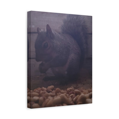 Squirrel Canvas Art, Wildlife Home Decor, Animal Lover Gift, Nature Wall Art, Cozy Living Room Accent