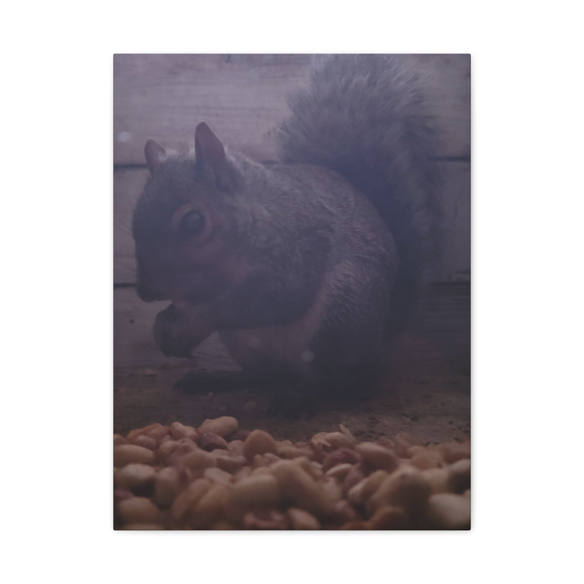 Squirrel Canvas Art, Wildlife Home Decor, Animal Lover Gift, Nature Wall Art, Cozy Living Room Accent