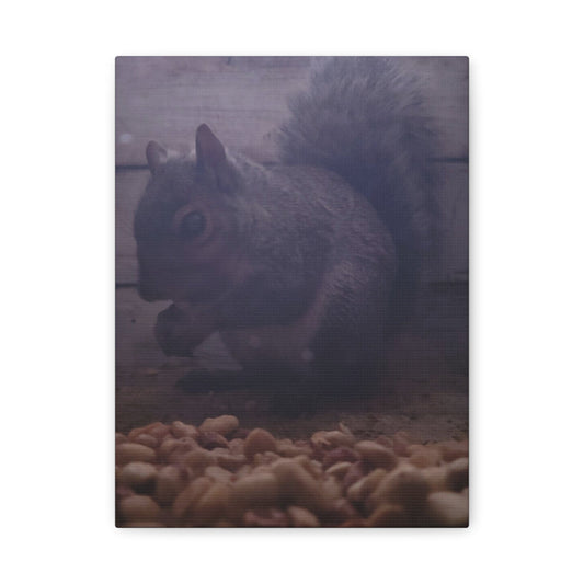 Squirrel Canvas Art matte wildlife wall décor with nuts and natural wood background for cozy living room accent