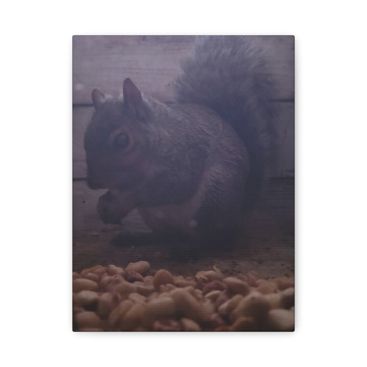 Squirrel Canvas Art, Wildlife Home Decor, Animal Lover Gift, Nature Wall Art, Cozy Living Room Accent